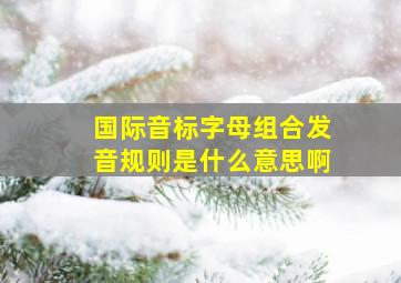 国际音标字母组合发音规则是什么意思啊