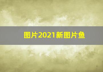 图片2021新图片鱼