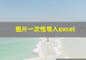 图片一次性导入excel