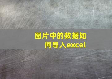 图片中的数据如何导入excel