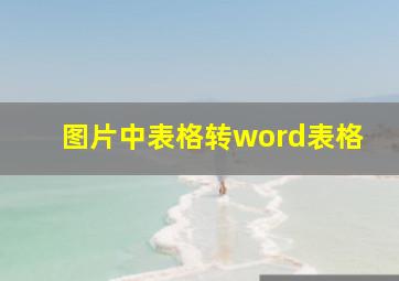 图片中表格转word表格