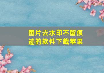 图片去水印不留痕迹的软件下载苹果