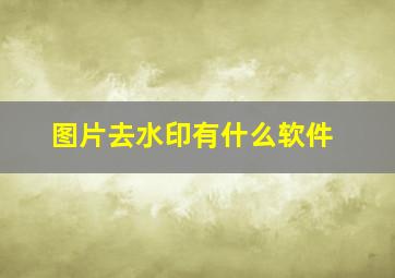 图片去水印有什么软件