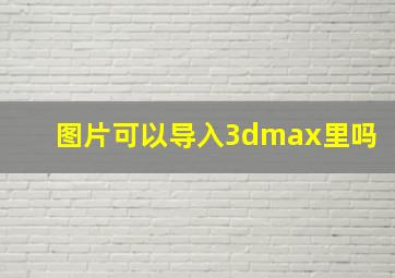 图片可以导入3dmax里吗