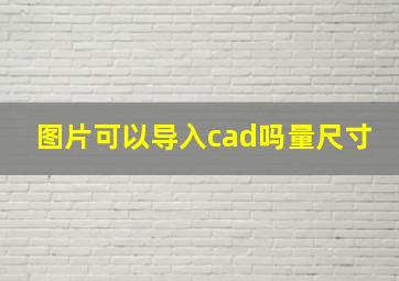 图片可以导入cad吗量尺寸