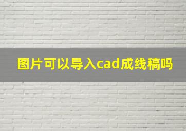 图片可以导入cad成线稿吗