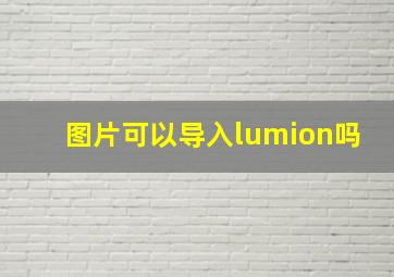 图片可以导入lumion吗