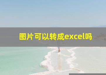 图片可以转成excel吗