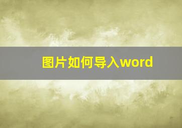 图片如何导入word