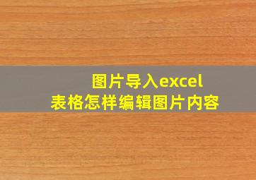 图片导入excel表格怎样编辑图片内容