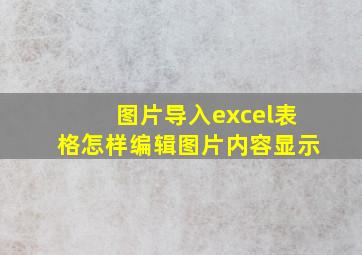 图片导入excel表格怎样编辑图片内容显示