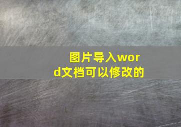 图片导入word文档可以修改的