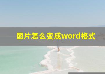 图片怎么变成word格式