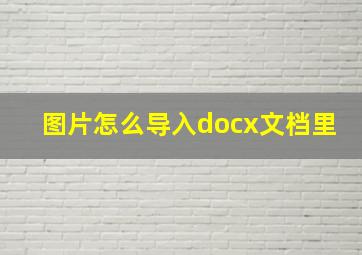 图片怎么导入docx文档里