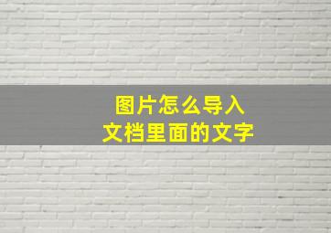 图片怎么导入文档里面的文字