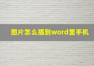 图片怎么插到word里手机