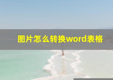 图片怎么转换word表格