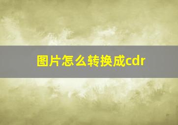 图片怎么转换成cdr