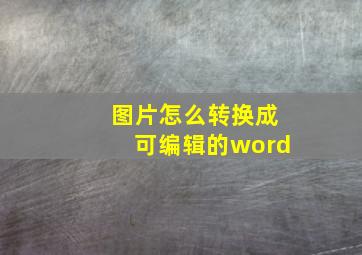 图片怎么转换成可编辑的word