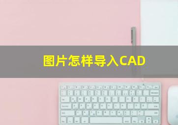 图片怎样导入CAD