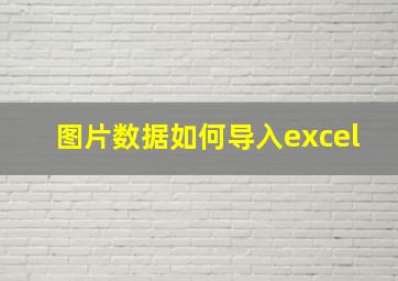 图片数据如何导入excel