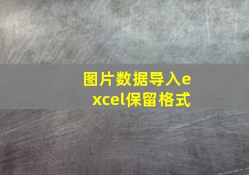 图片数据导入excel保留格式