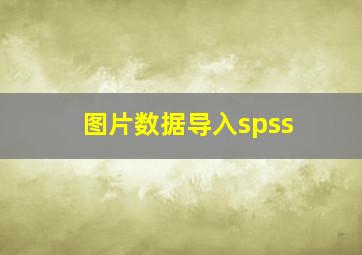 图片数据导入spss