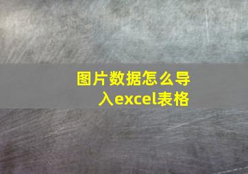 图片数据怎么导入excel表格