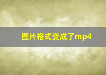 图片格式变成了mp4