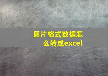 图片格式数据怎么转成excel