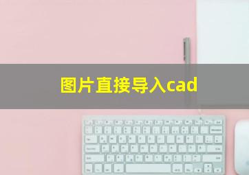 图片直接导入cad