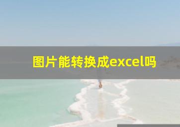 图片能转换成excel吗