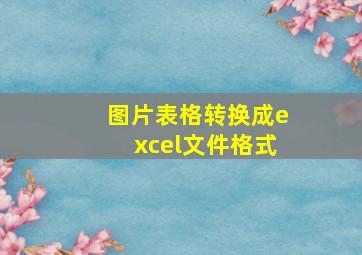 图片表格转换成excel文件格式