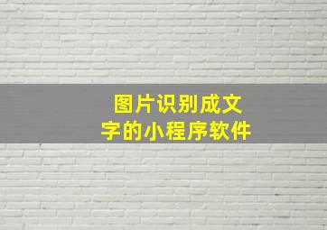 图片识别成文字的小程序软件