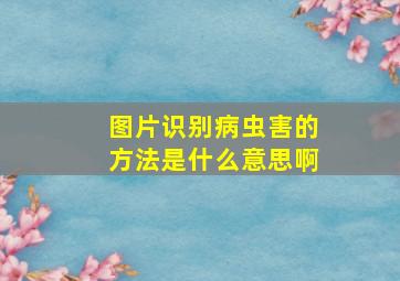 图片识别病虫害的方法是什么意思啊