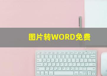 图片转WORD免费