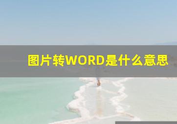 图片转WORD是什么意思