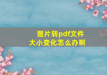 图片转pdf文件大小变化怎么办啊