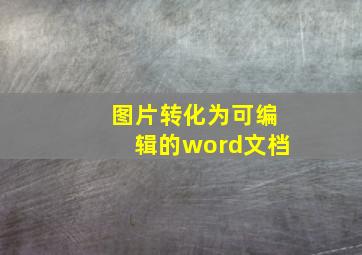 图片转化为可编辑的word文档