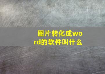 图片转化成word的软件叫什么