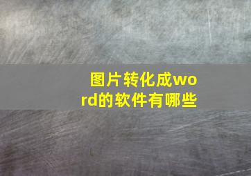 图片转化成word的软件有哪些