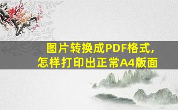 图片转换成PDF格式,怎样打印出正常A4版面