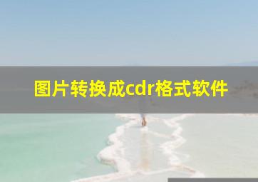 图片转换成cdr格式软件