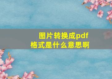 图片转换成pdf格式是什么意思啊