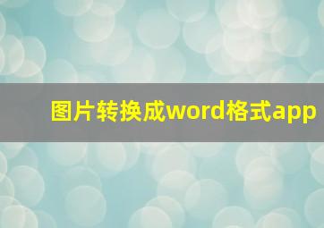 图片转换成word格式app