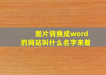 图片转换成word的网站叫什么名字来着