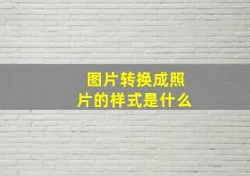 图片转换成照片的样式是什么