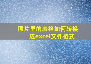 图片里的表格如何转换成excel文件格式