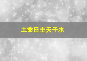 土命日主天干水