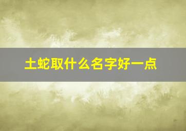 土蛇取什么名字好一点